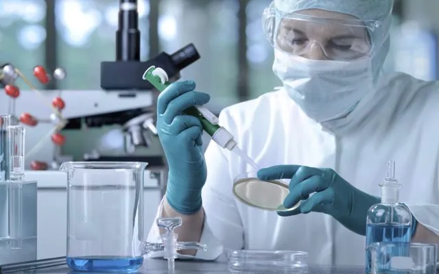 Laboratorian injecting something onto a petri dish