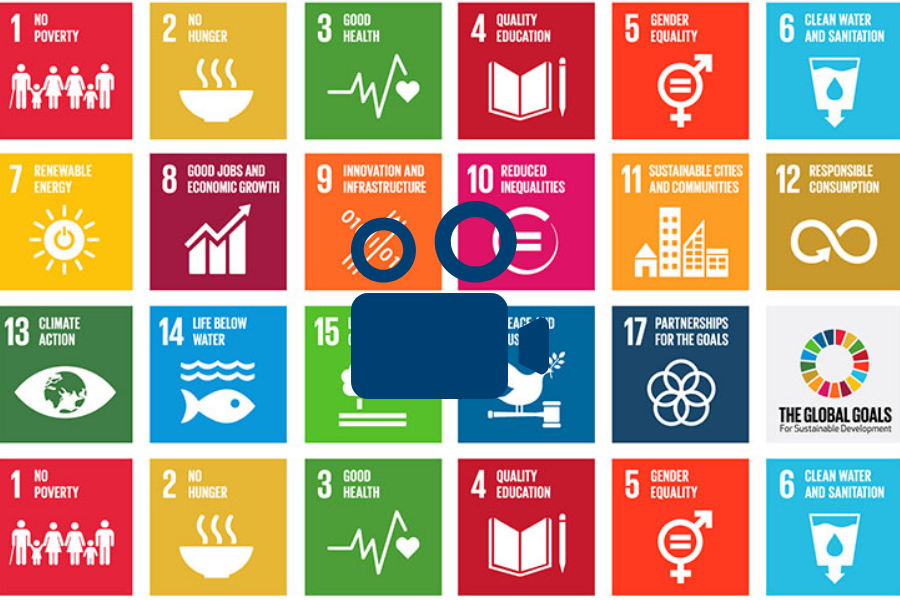 How will we know the SDGs have succeeded in 2030? - Wilton Park