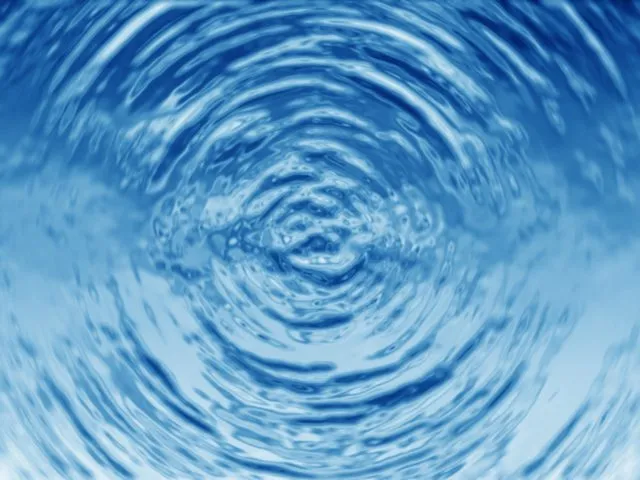 A ripple of water