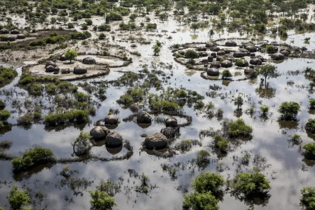 Flooded land in South Sudan