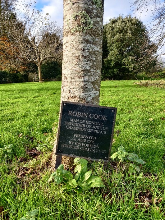 A rowan tree in the grounds of Wilton Park. A plaque at its base reads 'Robin Cook: man of honour, defender of justice, champion of peace' 