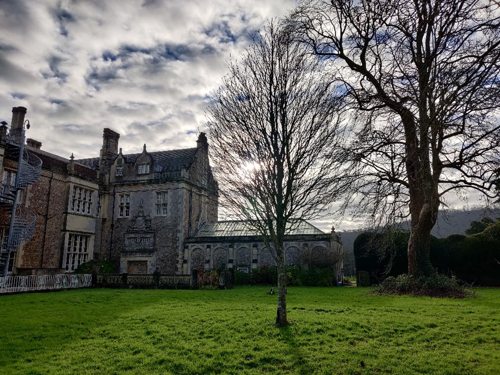 A rowan tree stands in the grounds of Wilton Park 